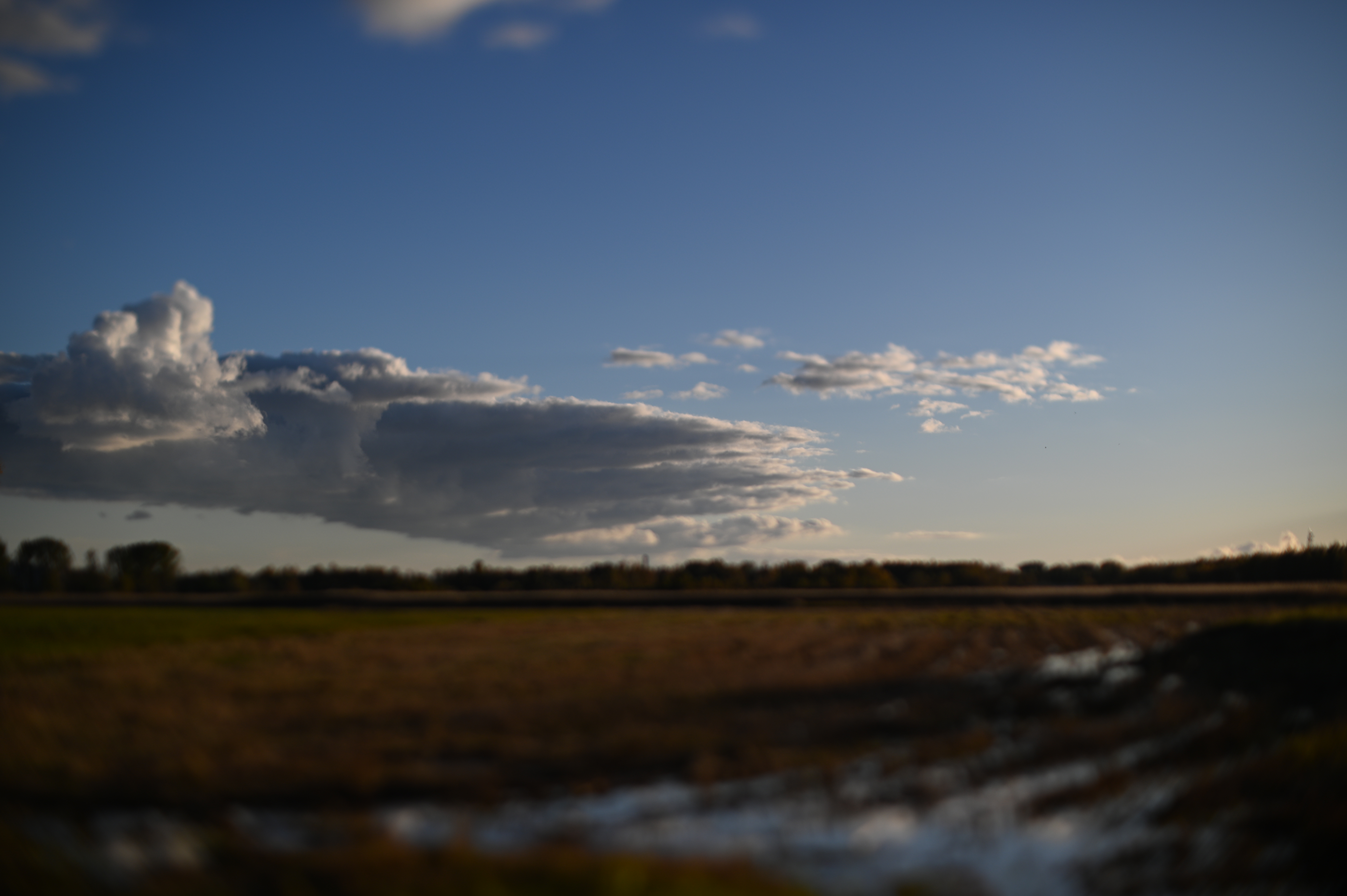 2025/10/18 - walk/DSC_0189.JPG